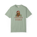A Stable Christmas