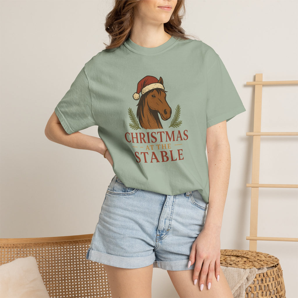 A Stable Christmas