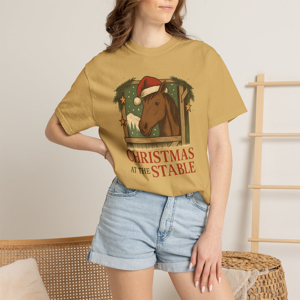 Christmas At The Stable