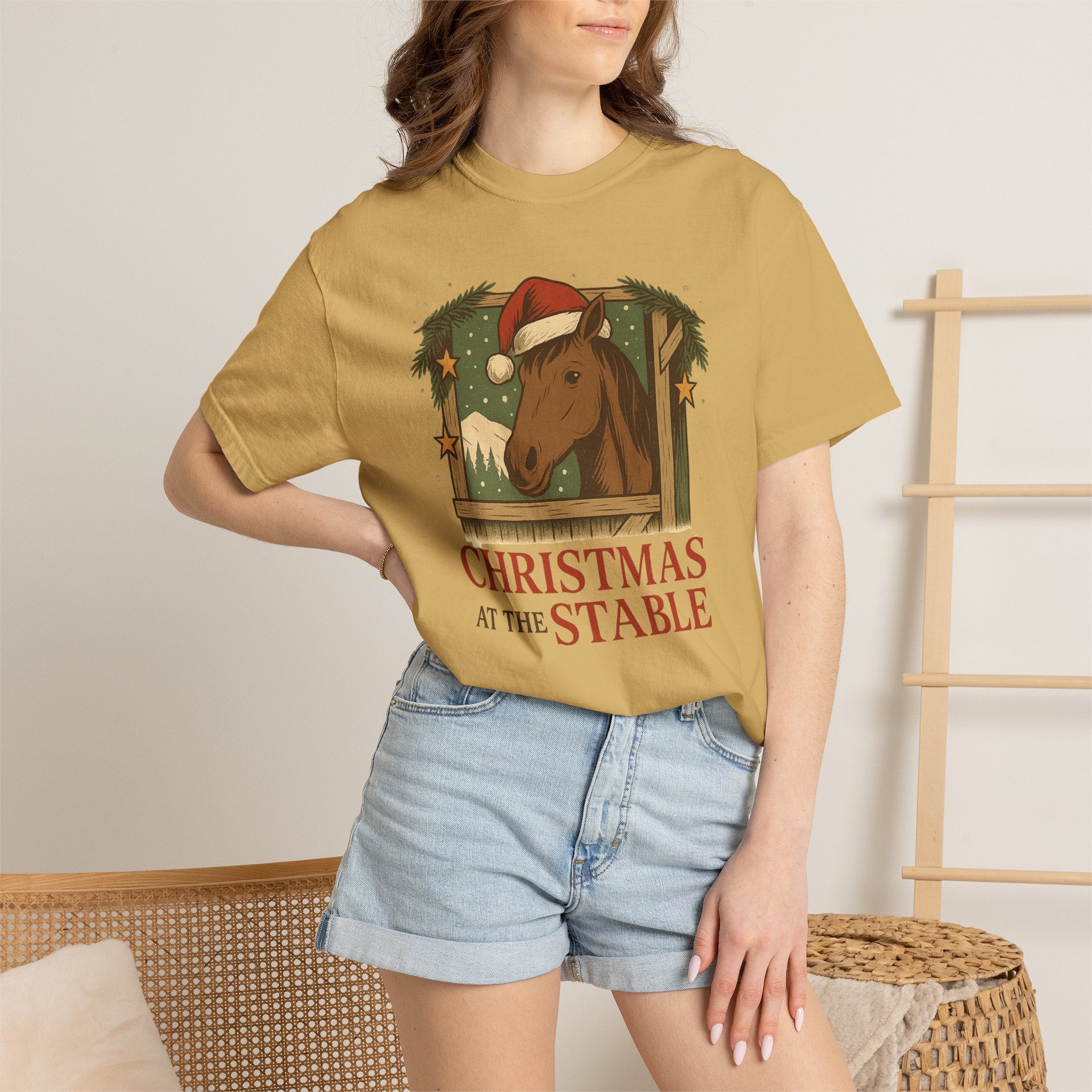 Christmas At The Stable
