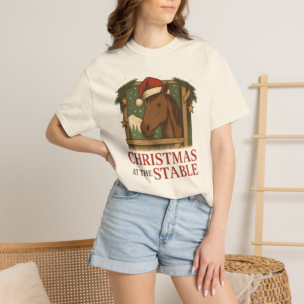 Christmas At The Stable