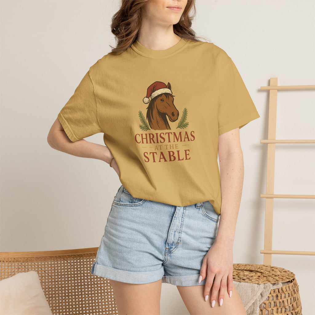 A Stable Christmas